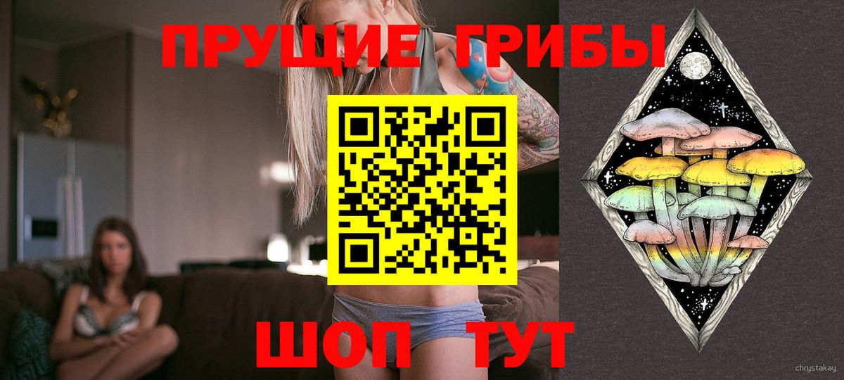 Галлюциногенные грибы мухоморы Кизилюрт