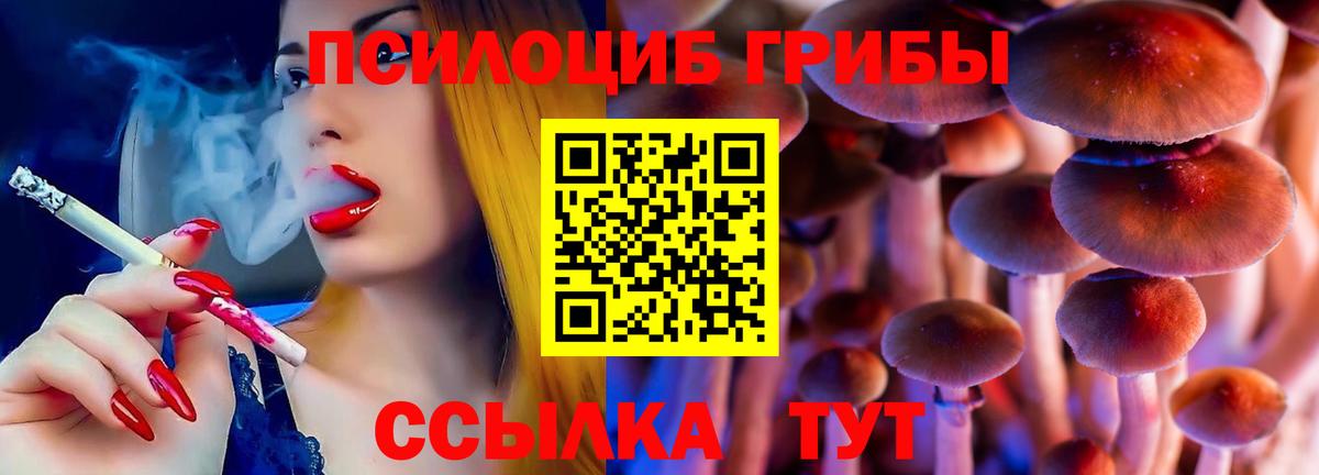 Кизилюрт  Псилоцибиновые грибы Magic Shrooms  Вход с VPN 